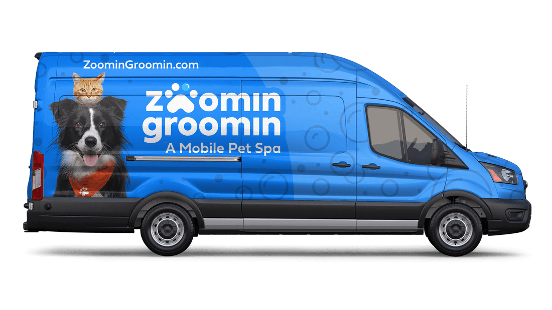 Zoomin Groomin Mobile Pet Grooming Van - Scottsdale
